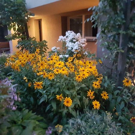 Noclegi Silesia ตือคือ ภายนอก รูปภาพ